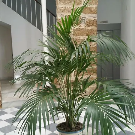 Apartamento San Felipe Neri